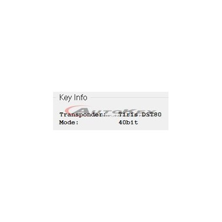 4D-63+ DST80 40Bit Chip For Ford/Mazda